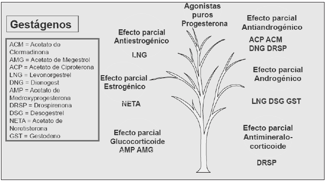 Progestinas más usadas en anticoncepciòn