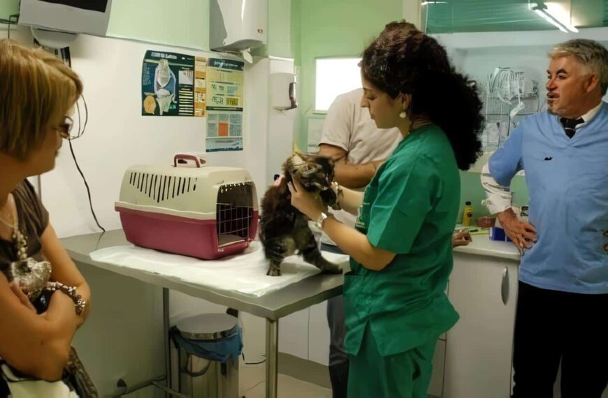 Droguerías Veterinarias en Pasto