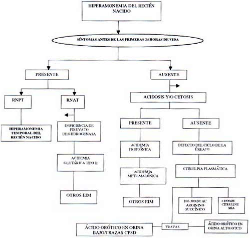 Hiperamonemia del recien nacido