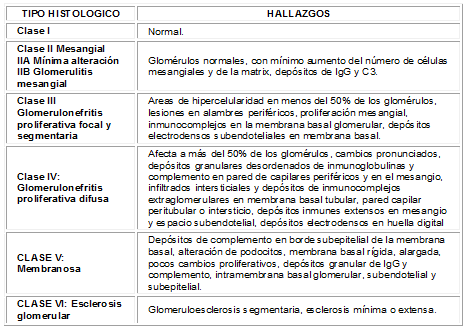 Clasificación histológica de nefritis lúpica (OMS)