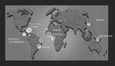 Áreas endémicas para el virus HTLV-1 a nivel mundial