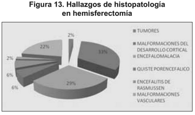 Histopatología en hemisferectomía