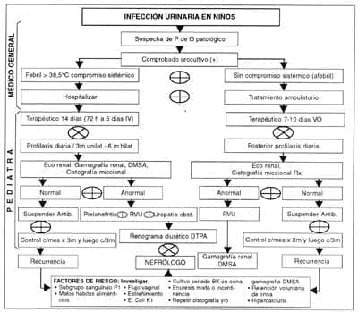 Infección Urinaria en Niños