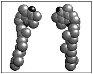 Modelo espacial de la forma RRR-a-tocoferol y su epímero