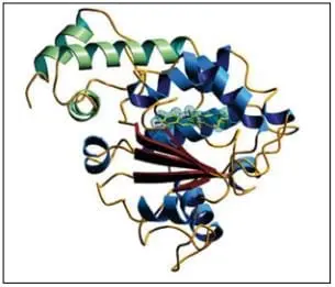 Estructura secundaria de la proteína a-TTP
