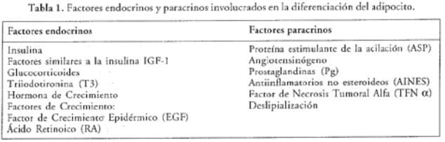 factores endocrinosy paracrinos