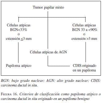 Criterios de Clasificación como Papiloma Atípico