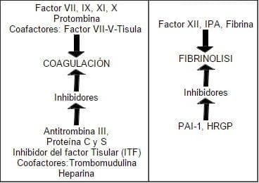 Relación entre los 4 sistemas, tono vascular, plaquetas, coagulación y fibrinólisis.
