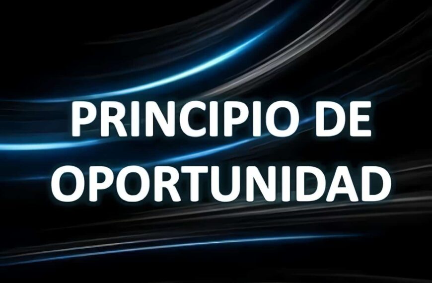 Principio de oportunidad