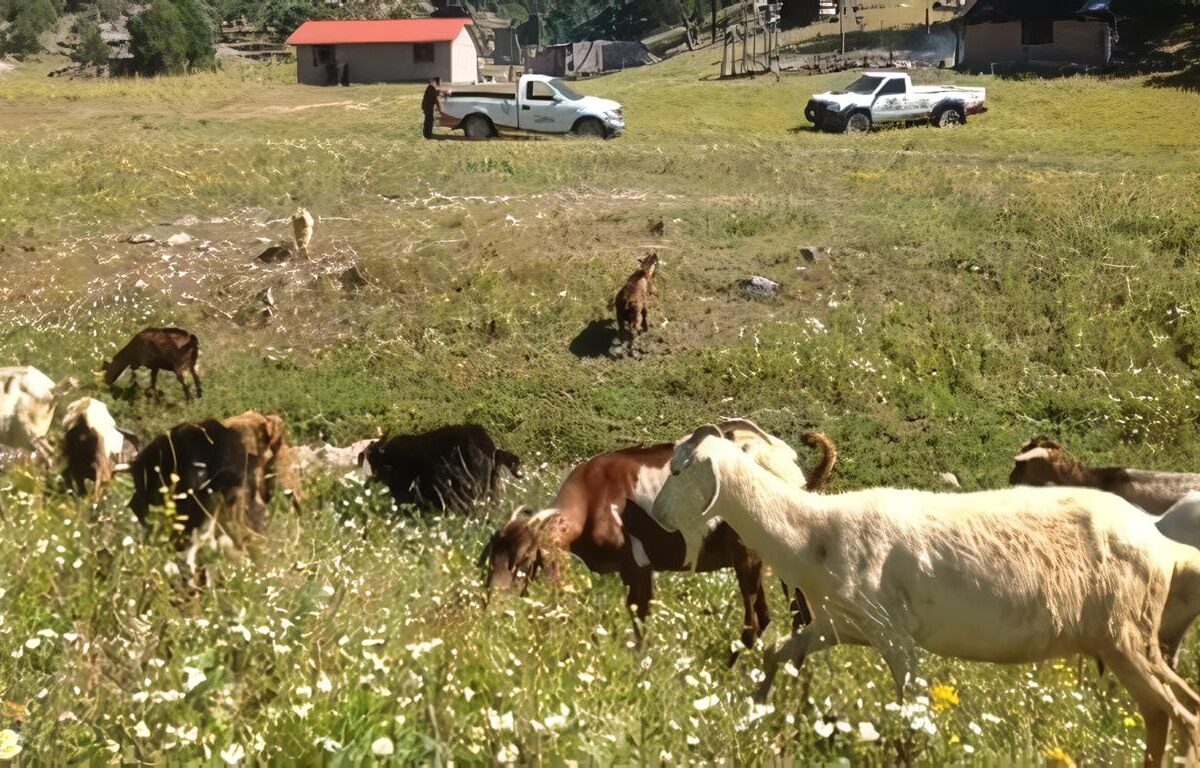 agricultura y desarrollo rural