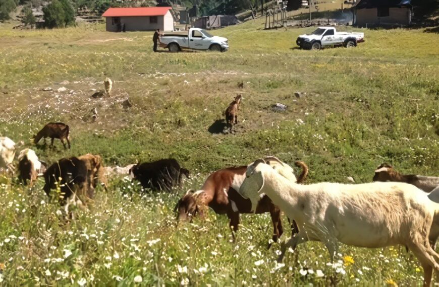 agricultura y desarrollo rural