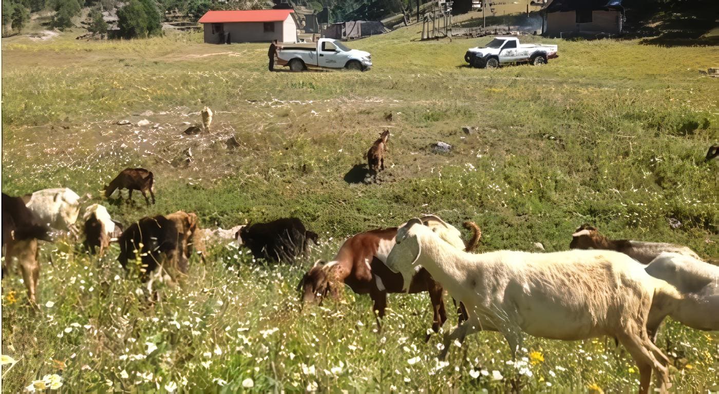 agricultura y desarrollo rural