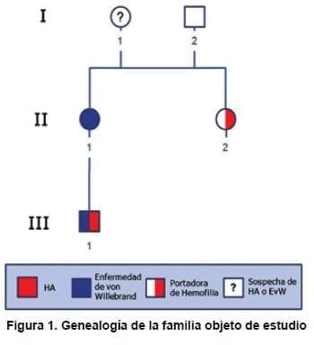 Genealogía de la familia objeto de estudio