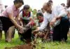 Uso e Influencia Ambiental de los Recursos Naturales Renovables