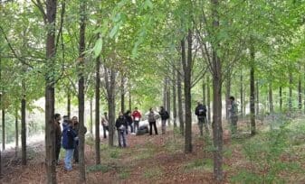 Ley Forestal Bosques Naturales