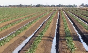 Manejo de los Recursos Naturales Renovables