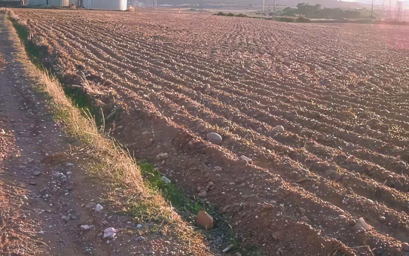 La Tierra y los Suelos