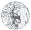 Comprensión del Nervio facial A