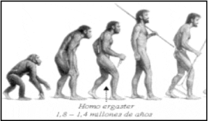 Evolución del hombre