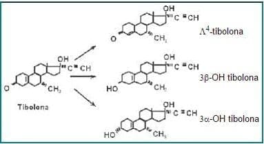 Estructura química de la tibolona y de sus principales metabolitos