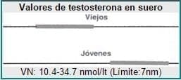 Valores normales de testosterona total en suero para jóvenes y viejos medidas en nmol/litro