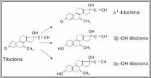 Conversión metabólica de Tibolona