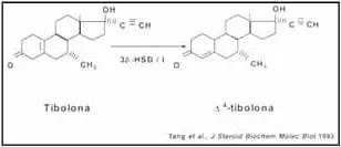 Conversión endometrial específica por 3b-hydroxysteroide dehydrogenasa/isomerasa