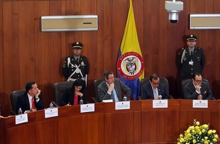 El Alcance de la Competencia de la Corte Constitucional