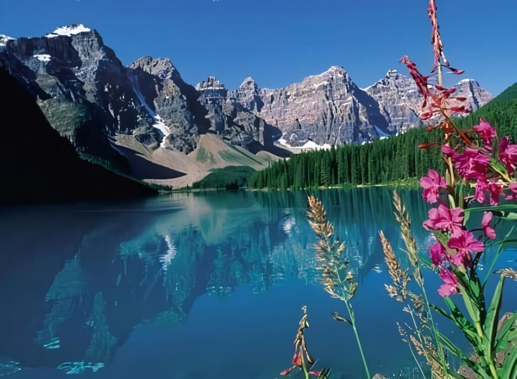 Desarrollo de la Política Ambiental