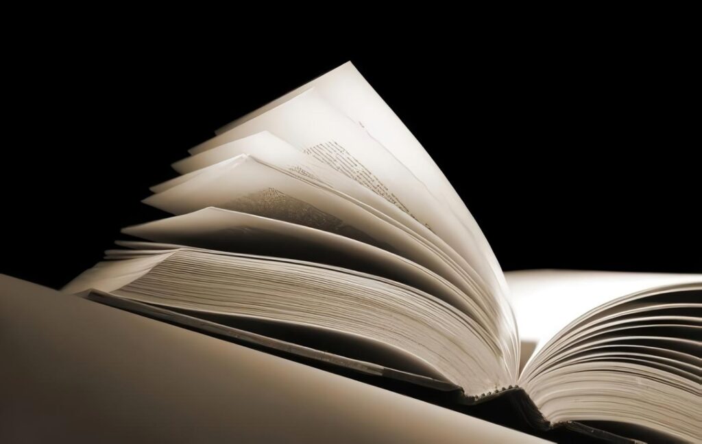 Revista Jurisdictio: Año 1 Número 1, Consejo Editorial