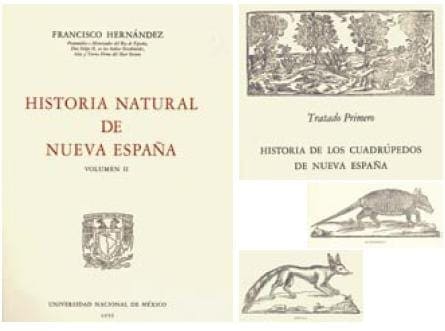 Historia Natural de Nueva España