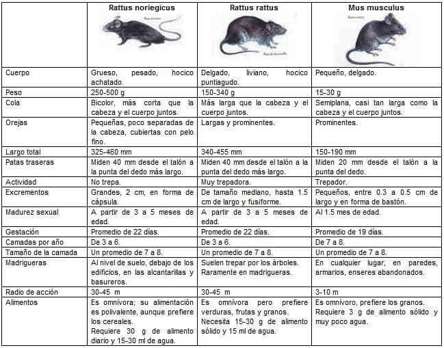 Características biológicas de los roedores