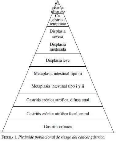 Pirámide Poblacional de Riesgo del Cáncer Gástrico