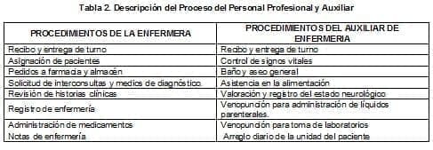 Enfermería, Descripción del Proceso del Personal Profesional y Auxiliar
