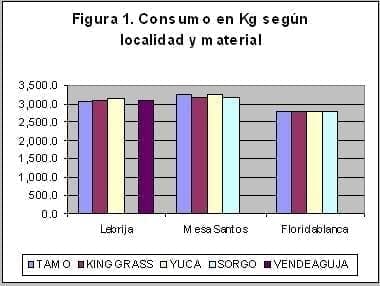 Tecnico_Figura1