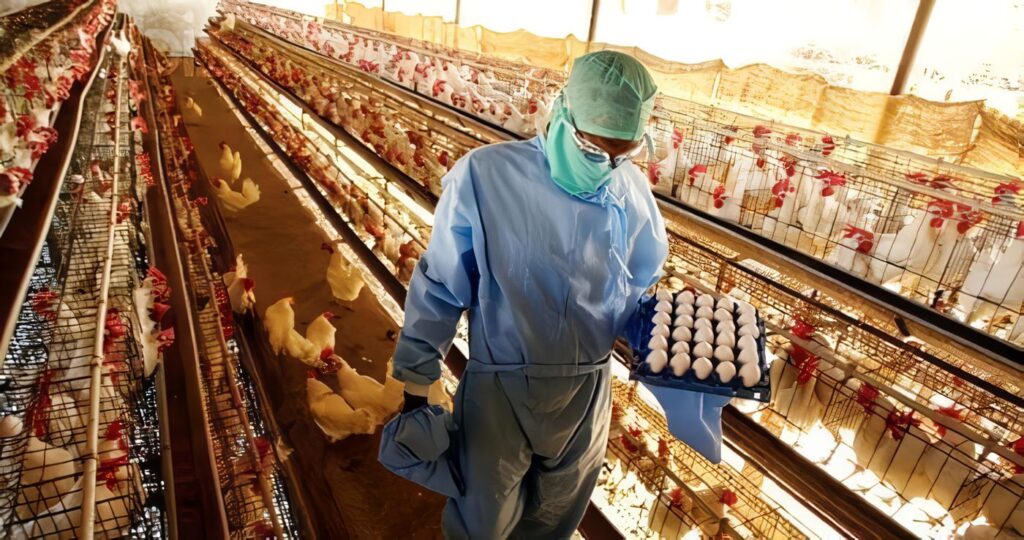 El Guamito: veterana, moderna y atractiva