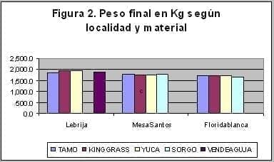 tecnico_figura2