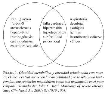 Obesidad Metabólica y Obesidad