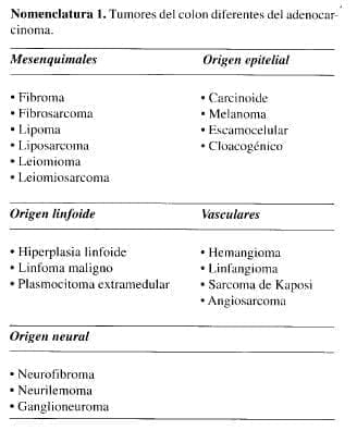 Tumores del Colon diferentes del Adenocarcinoma