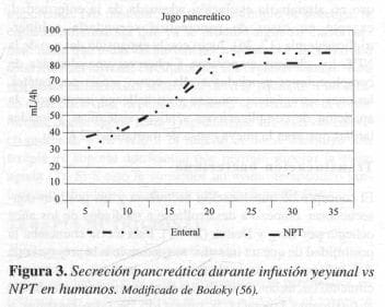 Secreción Pancreática durante Infusión Yeyunal