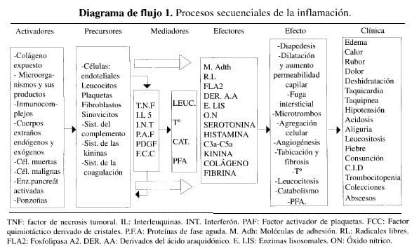 Procesos secuenciales de la inflamación