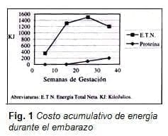 Costo Acumulativo de Energía durante el Embarazo