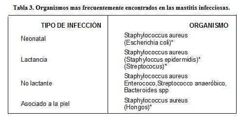 Organismos mas frecuentemente encontrados en las Mastitis Infecciosas