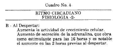 Ritmos Circadianos Fisiología 2