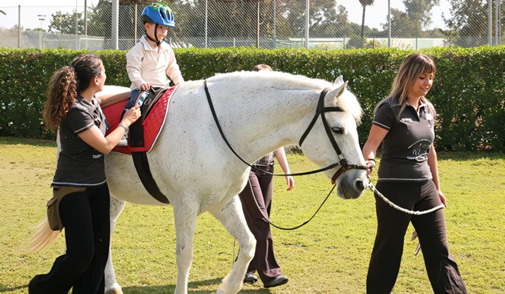 Equinoterapia