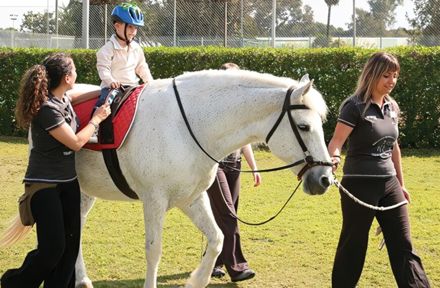 Equinoterapia