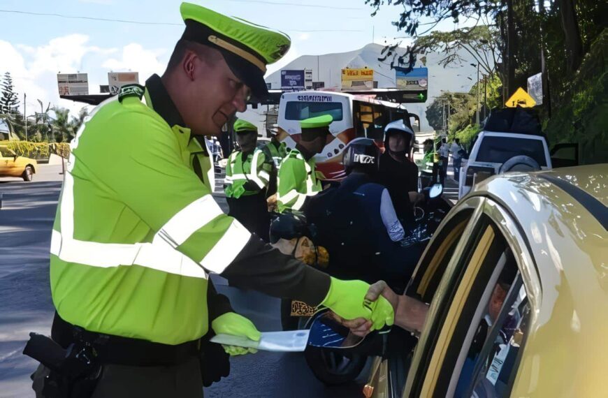 Policía y medidas correctivas