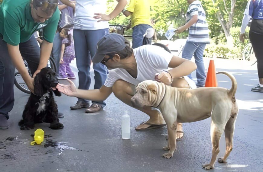 relación con los animales