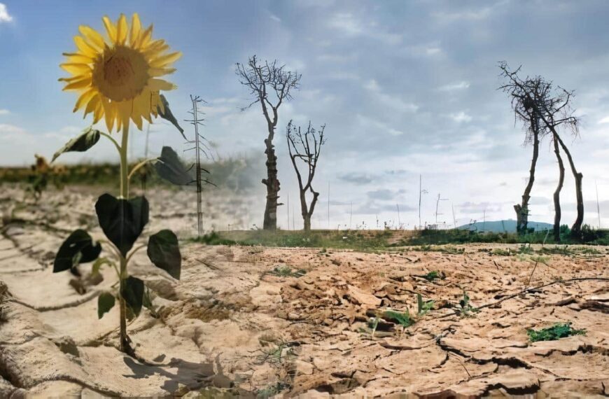 Historia Cambio Climático