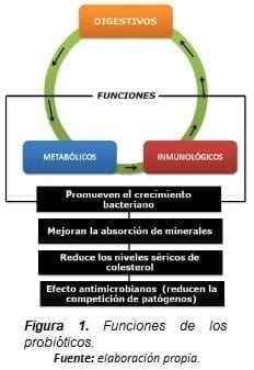 Funciones de los Probióticos
